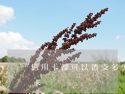 信用卡都可以透支多少額度(透支最多的信用卡)