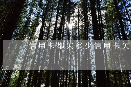 信用卡都欠多少(信用卡欠多少影響房貸)