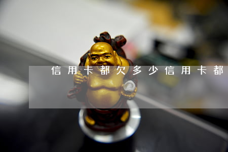 信用卡都欠多少 信用卡都欠多少錢