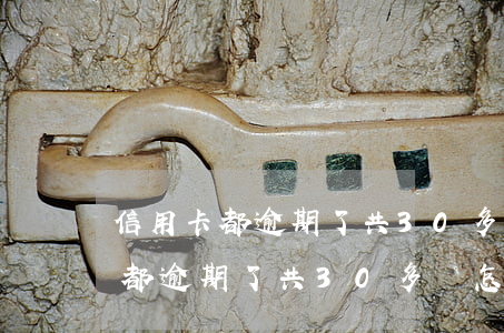 信用卡都逾期了共30多萬怎么辦-信用卡都逾期了共30多萬怎么辦呢