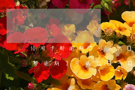 信用卡都逾期了可以只還一張卡嗎-信用卡都逾期了可以只還一張卡嗎怎么還