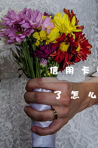 信用卡都逾期了咋辦(所有的貸款信用卡逾期了怎么辦)