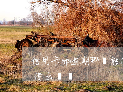信用卡都逾期那還能借錢(信用卡逾期還能再借出來嗎)
