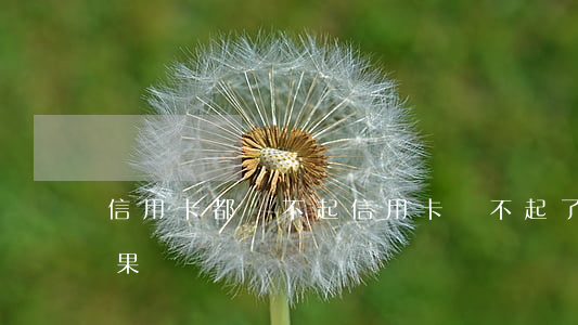 信用卡都還不起(信用卡還不起了會有什么后果)