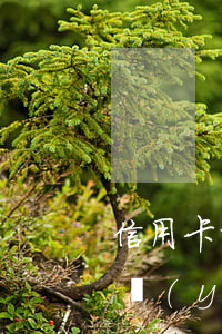 信用卡重組后不小心逾期一天(三年前信用卡嚴(yán)重逾期)