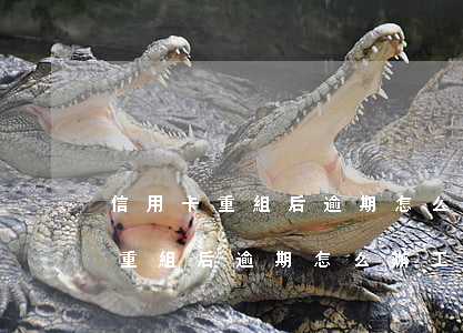 信用卡重組后逾期怎么辦工商銀行卡（信用卡重組后逾期怎么辦工商）