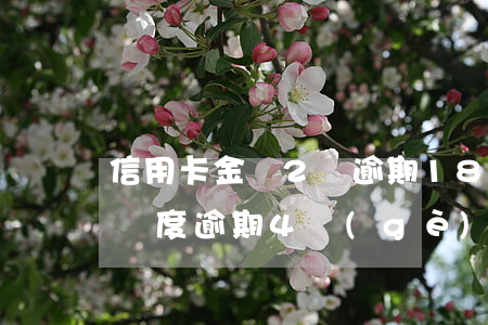 信用卡金額2萬逾期180天了(信用卡1萬額度逾期4個(gè)月)