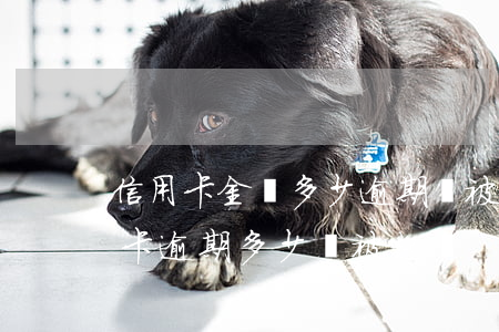 信用卡金額多少逾期會被起訴坐牢-欠信用卡逾期多少會被起訴