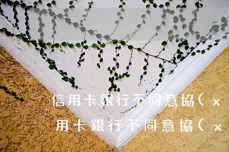 信用卡銀行不同意協(xié)商還款-信用卡銀行不同意協(xié)商還款怎么辦