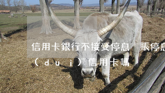 信用卡銀行不接受停息掛賬(停息掛賬只針對(duì)信用卡嗎)