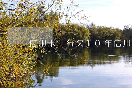 信用卡銀行欠10年(信用卡銀行欠10年)