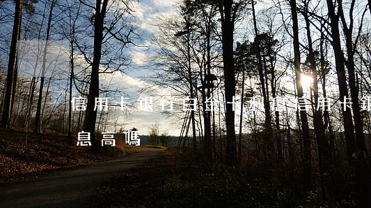 信用卡銀行白金卡利息(信用卡銀行白金卡利息高嗎)