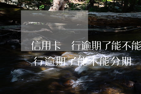 信用卡銀行逾期了能不能分期還-信用卡銀行逾期了能不能分期還款