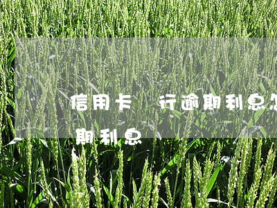 信用卡銀行逾期利息怎么算(各銀行信用卡逾期利息)
