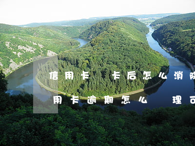 信用卡銷卡后怎么消除征信逾期-征信有信用卡逾期怎么處理可以消除
