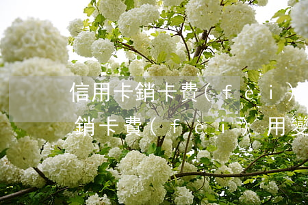 信用卡銷卡費(fèi)用變成逾期(信用卡銷卡費(fèi)用變成逾期)