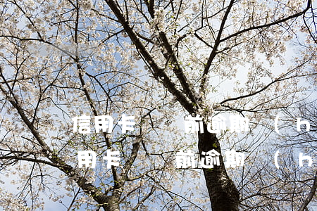信用卡銷戶前逾期會(huì)上征信嗎(信用卡銷戶前逾期會(huì)上征信嗎)