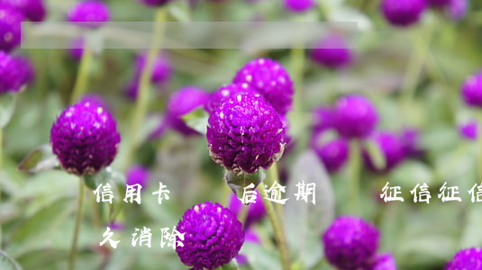 信用卡銷戶后逾期記錄征信(征信不良記錄多久消除)