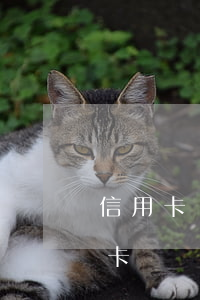 信用卡銷戶逾期征信多久會消除(征信上信用卡賬戶數(shù)多久能消除)