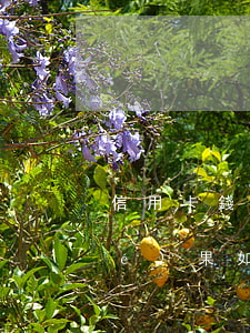 信用卡錢不還會(huì)有什么結(jié)果(如果欠信用卡錢不還會(huì)是什么后果)