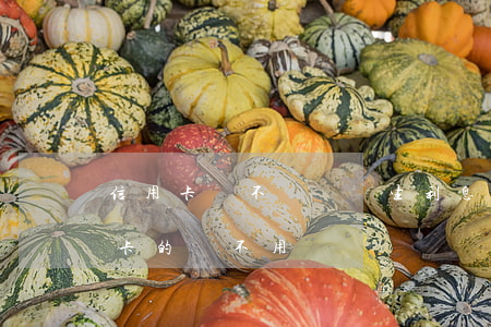 信用卡錢不還會產生利息嗎(什么情況下信用卡的錢不用還)