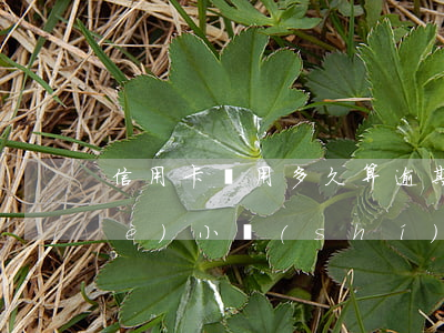 信用卡錢用多久算逾期(信用卡逾期幾個(gè)小時(shí))
