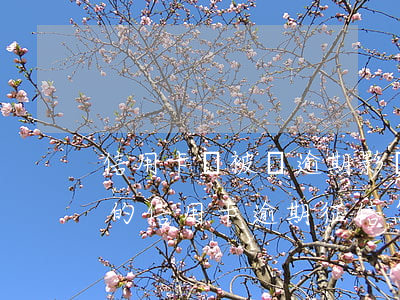 信用卡錢被盜逾期影響征信怎么辦(坐牢導致的信用卡逾期征信怎么處理)
