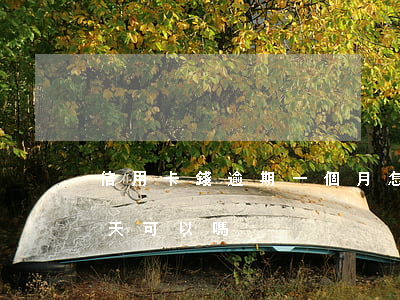 信用卡錢逾期一個月怎么辦 我信用卡逾期一天可以嗎