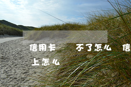 信用卡錢還不了怎么辦(信用卡的錢如果還不上怎么辦)