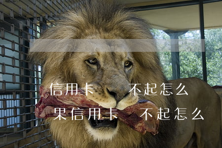 信用卡錢還不起怎么辦(請(qǐng)問如果信用卡還不起怎么辦)