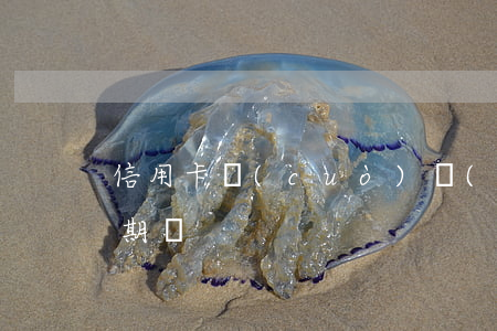 信用卡錯(cuò)過(guò)一天算逾期嗎