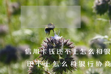 信用卡钱还不上怎么和银行协商-信用卡钱还不上怎么和银行协商还款