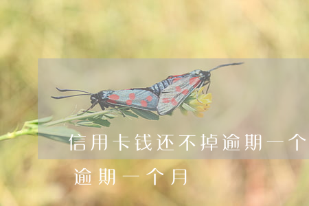 信用卡钱还不掉逾期一个月(信用卡钱还不掉逾期一个月)