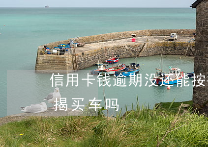 信用卡钱逾期没还能按揭车吗(有逾期可以按揭买车吗)