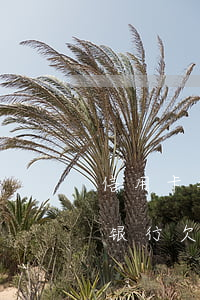 信用卡银行欠20万还不上怎么办-信用卡银行欠20万还不上怎么办呢
