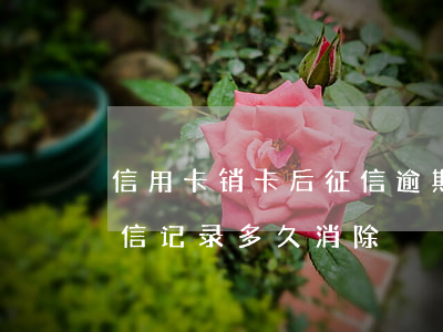 信用卡销卡后征信逾期(信用卡逾期后销卡征信记录多久消除)