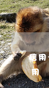 信用卡長(zhǎng)時(shí)間不用會(huì)不會(huì)逾期