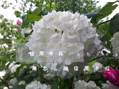 信用卡長(zhǎng)時(shí)間逾期怎么辦(信用卡經(jīng)常逾期會(huì)怎樣)