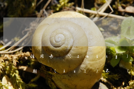 信用卡長(zhǎng)時(shí)間逾期會(huì)不會(huì)坐牢-欠信用卡多久會(huì)坐牢