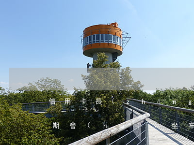 信用卡長(zhǎng)時(shí)間逾期會(huì)坐牢(欠信用卡多久會(huì)坐牢)