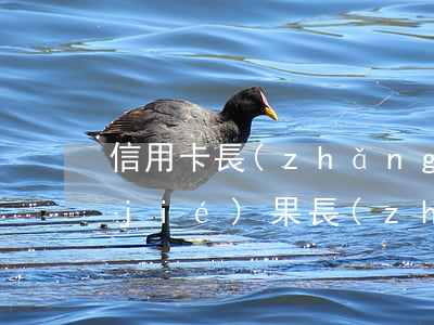 信用卡長(zhǎng)期不還是什么結(jié)果(長(zhǎng)時(shí)間不還信用卡有什么后果)