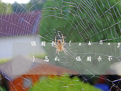 信用卡長(zhǎng)期不還會(huì)怎么樣(信用卡不還了會(huì)怎么樣)