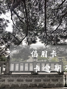 信用卡長(zhǎng)期逾期不還款(信用卡逾期不還最嚴(yán)重的后果是什么)