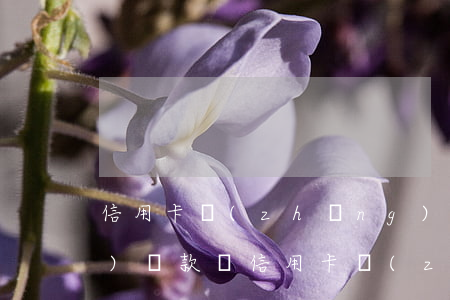 信用卡長(zhǎng)期逾期會(huì)罰款嗎(信用卡長(zhǎng)期逾期會(huì)有什么后果)
