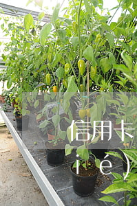 信用卡長(zhǎng)期逾期被凍結(jié)