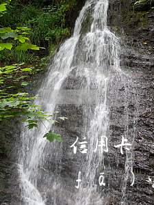信用卡長(zhǎng)期逾期被起訴 發(fā)生過信用卡逾期