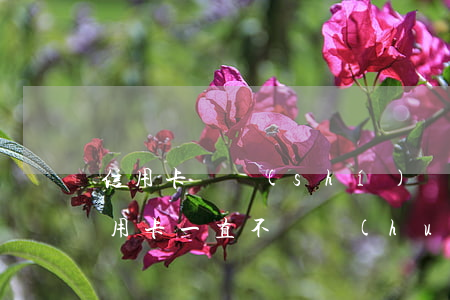 信用卡長時(shí)間不還后果怎樣(欠信用卡一直不還會(huì)怎樣)