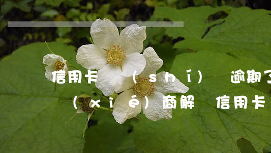 信用卡長時(shí)間逾期了怎么跟銀行協(xié)商解決（信用卡長時(shí)間逾期了）