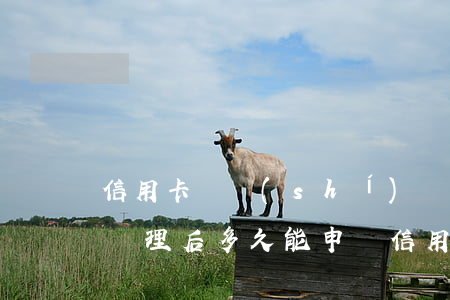 信用卡長時(shí)間逾期去哪處理(逾期處理后多久能申請信用卡)