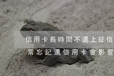 信用卡長時間不還上征信嗎(經(jīng)常忘記還信用卡會影響征信嗎)
